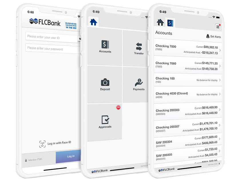 Online Banking App on Phone