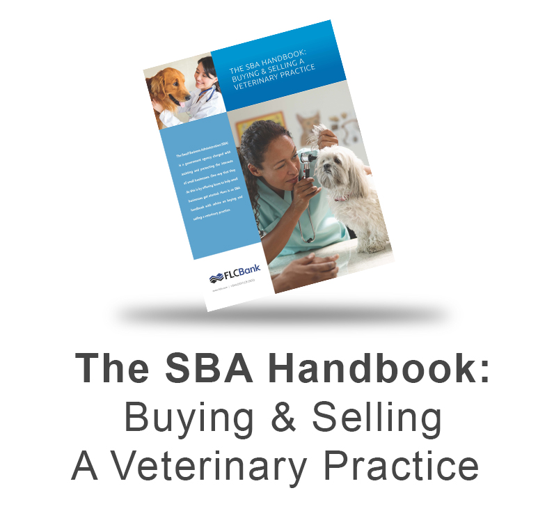 SBA Handbook: Buying & Selling a Veterinary Practice eBook Download