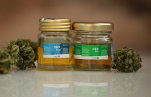 cannabis oil cbd