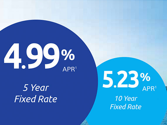 Online Mobile App on Phone