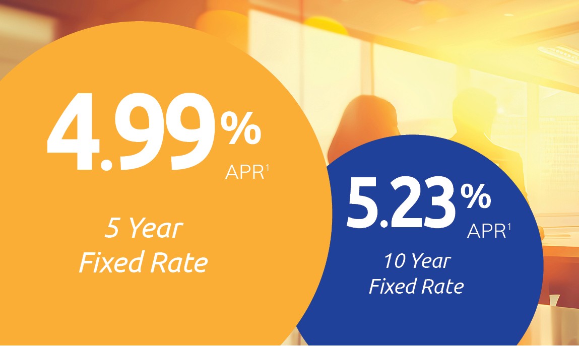 Online Mobile App on Phone